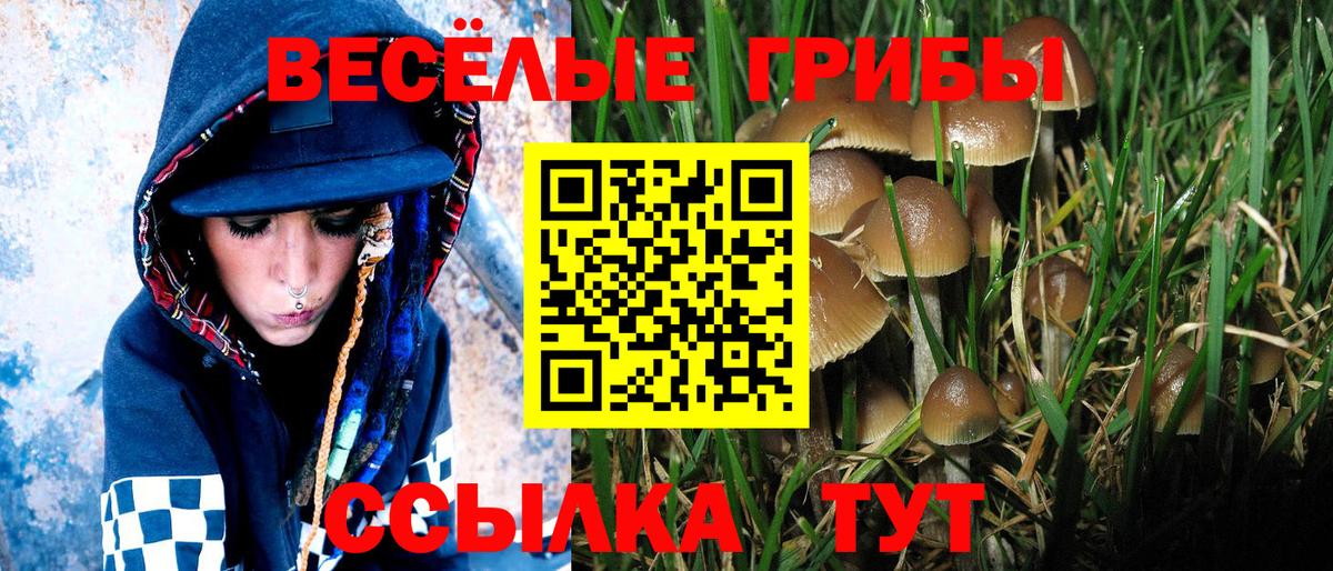 Галлюциногенные грибы ЛСД  цена наркотик  Псилоцибиновые грибы мицелий  Шали  Вход с VPN 