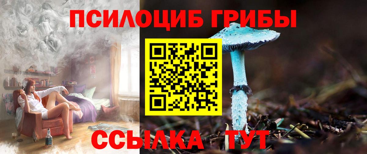 Псилоцибиновые грибы Magic Shrooms Шали